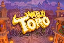 Wild Toro Slot Review